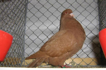 Bild 3920