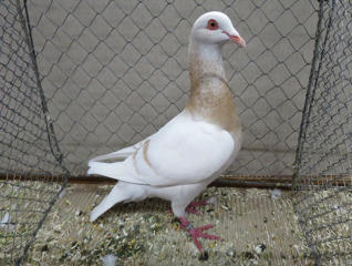 Bild 7725